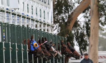 Hoops Tips for Belmont 19th May