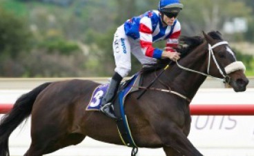 Tips for Kalgoorlie Cup Day with Greg Hooper