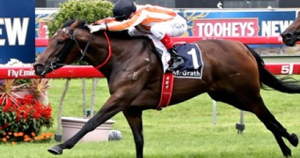 The 2011 Group 1 Winterbottom winner has run her last race.