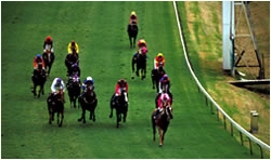 The announcement will see the Perth Cup upgraded to the third richest staying handicap in Australia