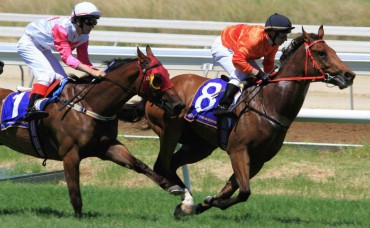 Hoops tips for Ascot 29th Feb