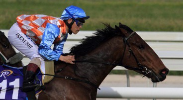 Tips for Lee Steere Stakes Day