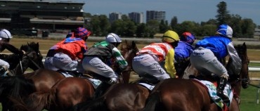 Hoops Belmont Tips 16th May