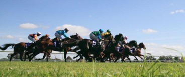 Hoops Tips for Belmont 25th July