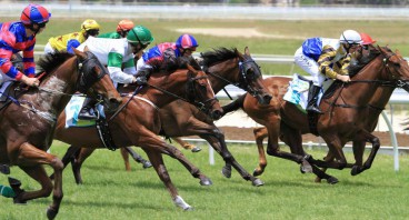 Hoops tips for Wednesday 11th July