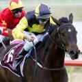 For Belmont's biggest day, it was lack lustre again in the betting ring.