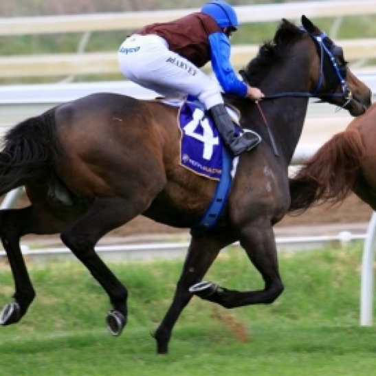 Waratah's Secret beaten 5 lengths in Lark Hill trial.