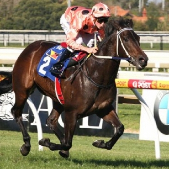 South African two year old named after our great sprinting champ.