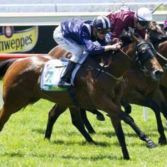 Husson Lightning stars in Belmont midweek racing.