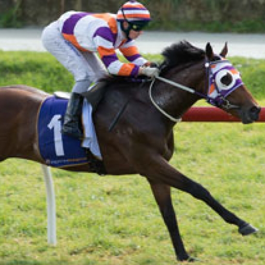 Husson Lightning 3yo a convincing winner at his second only start. 