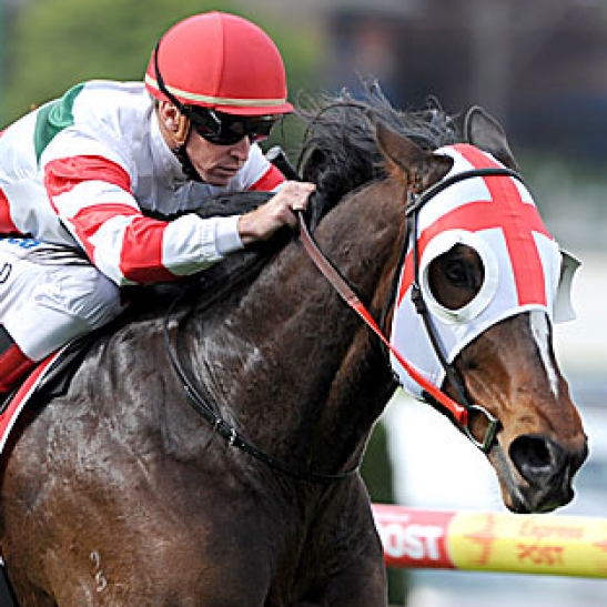Newmarket winner showing signs of returning to his best.