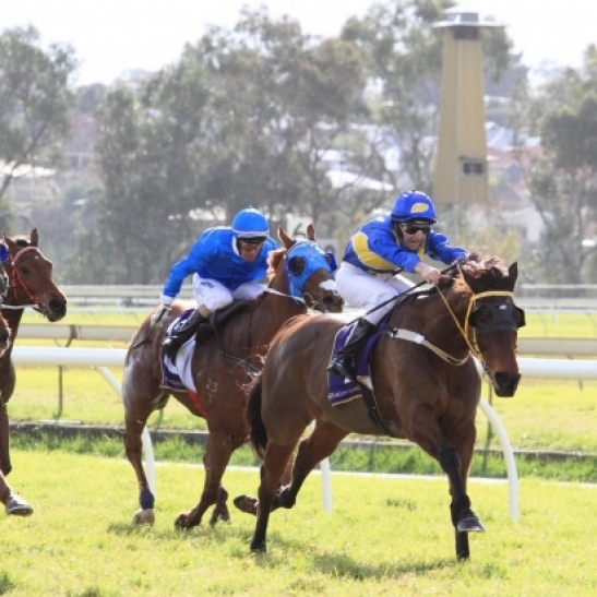 Northerly named as a WA racing legend.