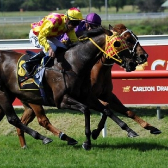 Career over for the 6yo mare after Newmarket failure.