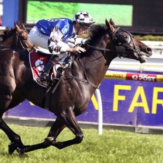 German galloper becomes the first casualty for the carnival.