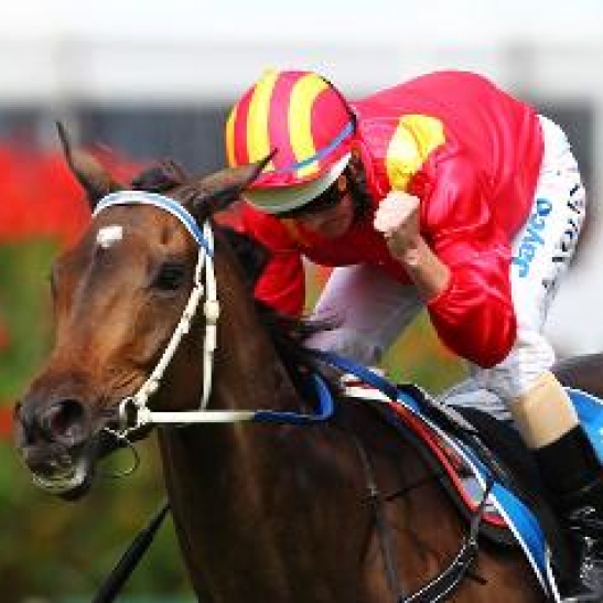 Former horse of the year and six time Group 1 winner dies.