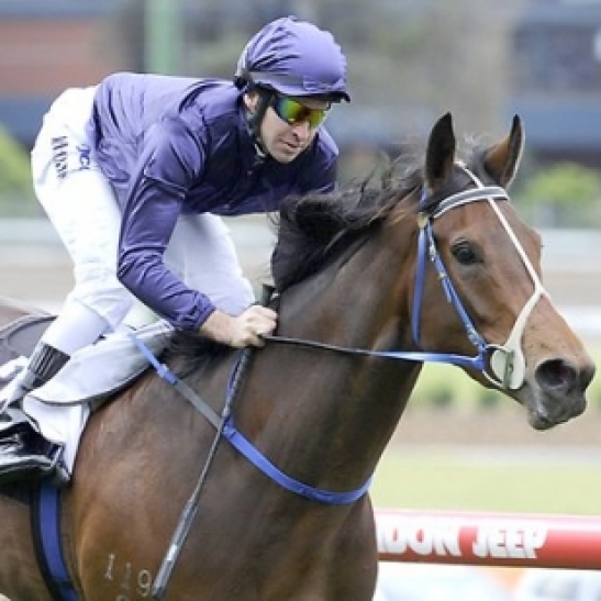 The daughter of Fastnet Rock was found to be lame after a gallop yesterday morning.