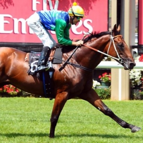 Tinkler parts with most prized possession