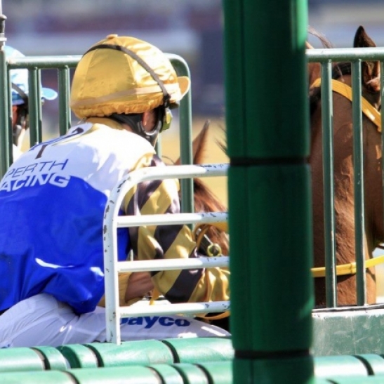 Four winners was the benchmark this week with Sax of Gold taking the honours.