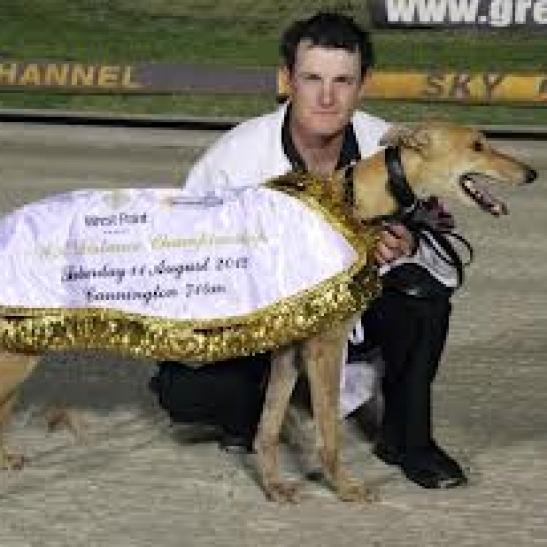 Black Caviar, Miata and I'mthemightyquinn all to race today