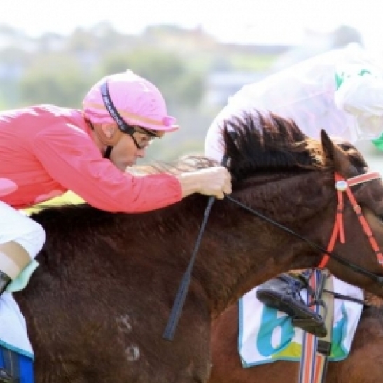 Three year old Not a Single Doubt gelding comes from strong formlines to contest the 3yo 1400m event on Wednesday.