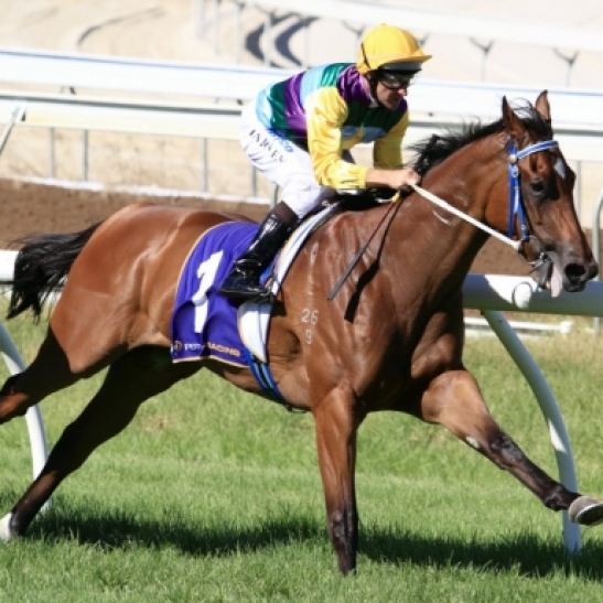 Darlington Abbey shows up for the first time since her failure in the Karrakatta Plate, the only defeat of her career to date.