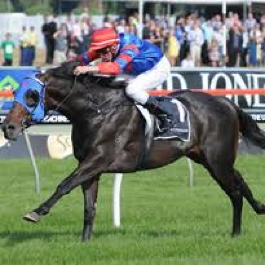 Gai Waterhouse won't hear of Golden Slipper winner Pierro being beaten when he makes his three-year-old debut at Rosehill on Saturday.