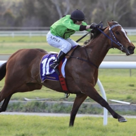 Peggie's Dream continues to improve, smashing a handy field with a leg in the air.