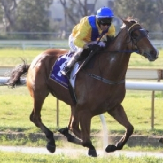 Cavallo Pazzo goes into the Farnley Stakes as the clear cut favourite, looking for three listed races in a row.