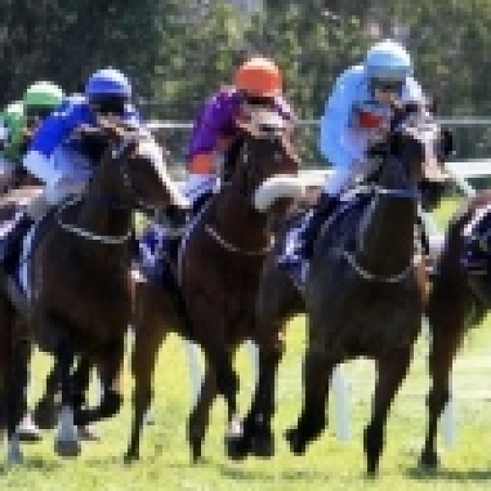 Former eastern states stayer Lopov finally found the line after being purchased as  Perth Cup contender last year. 