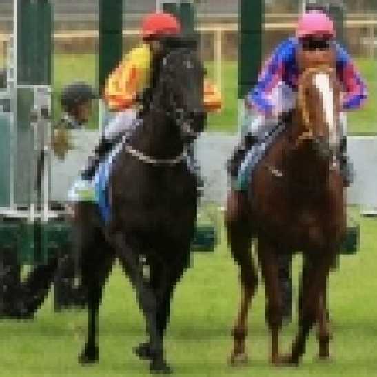 Impressive youngster Night Train returns for the Impressive Racing team at Belmont Park tomorrow.