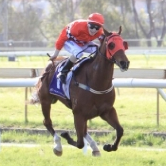 It was a day full of issues and dramas at Kalgoorlie but the two features were finally run and won. 