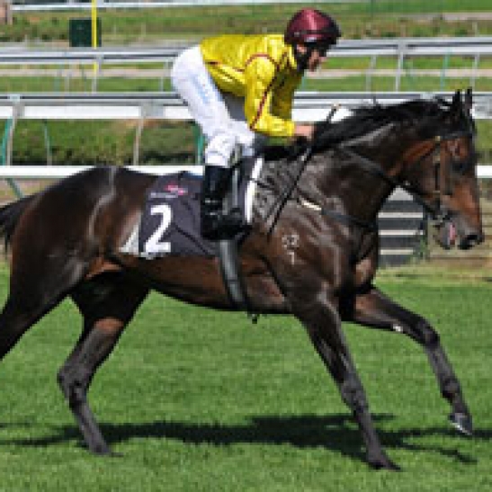 Dual Kingston Town winner Playing God will venture back to Flemington on the last day of the carnival.