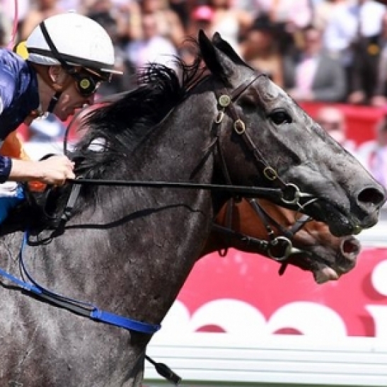 Battle weary 2007 Melbourne Cup winner Efficient bows out after old injury flares up 