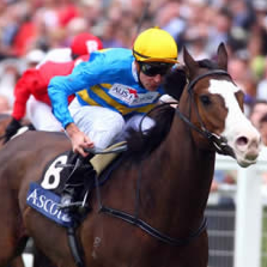 The two modern era superstars from WA take each other on over the mile.