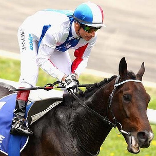 The former Cup winner was retired after yesterday's race.