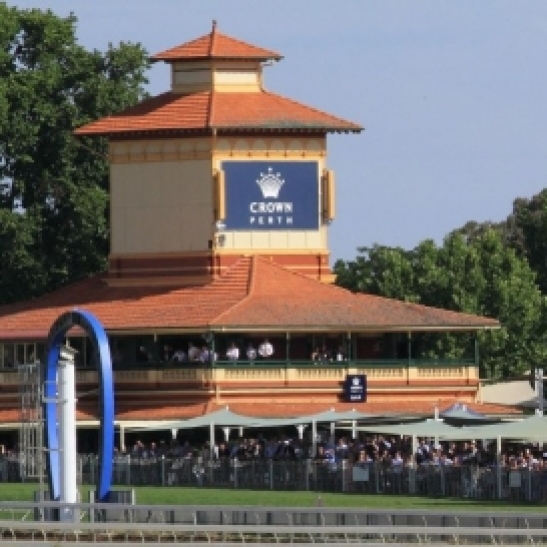 A review of all the racing from Saturday at Ascot