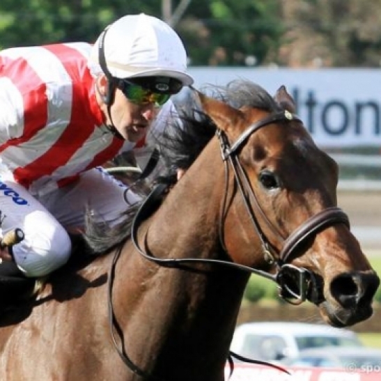 Fines wrap up raceday treatment penalties for three Victorian trainers.