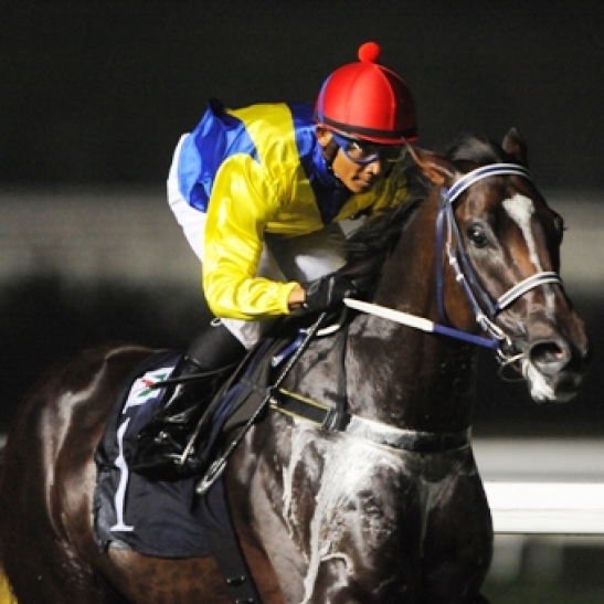 Former champion Singaporean resumes for new trainer.