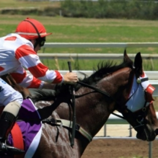 Success Express gelding adds a second stakes victory to his impressive record.