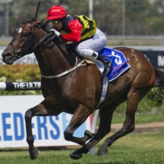 Perth Racing reports the Cup raider arrived safely Friday morning.