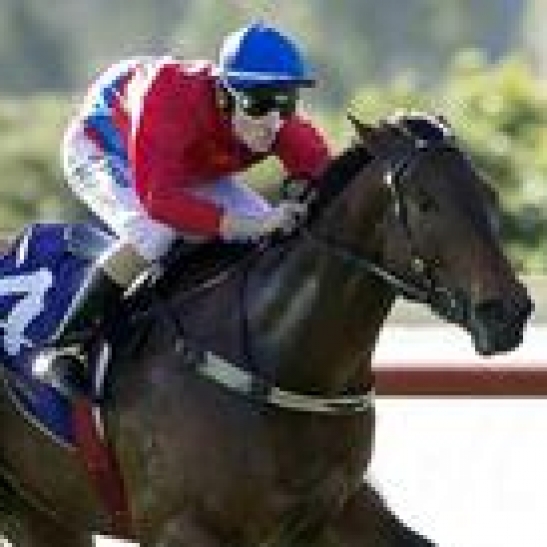 Playing 3 in the Quaddie