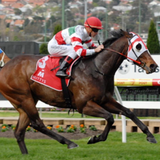 Our top two sprinters will miss the Group 1.