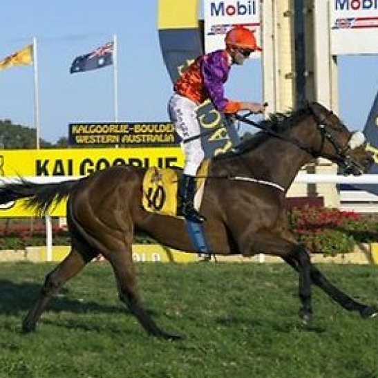 Injured in a paddock mishap, recovery looks bleak.