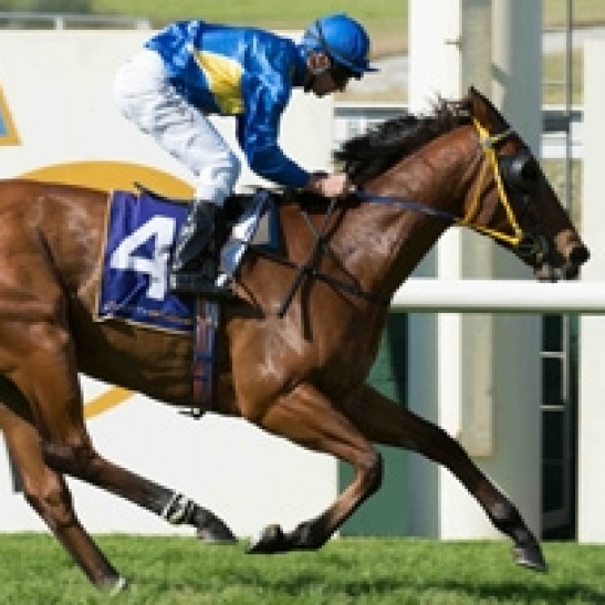 Jason Brown ends up worse off than our local superstar after disappointing debut in Melbourne