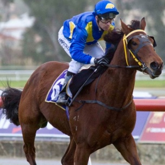 Right to race again after Caulfield jumpout