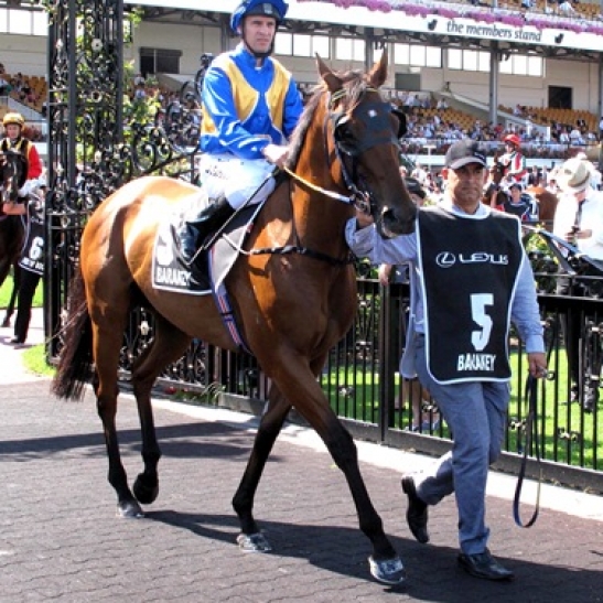 Newmarket turns out a disaster for WA's finest