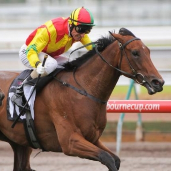 RWWA Chief shares information on the ill fated Karrakatta Plate winner
