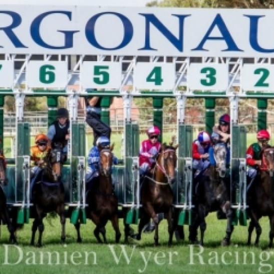 Belmont has proven a punter's graveyard first week back and this week was no exception.