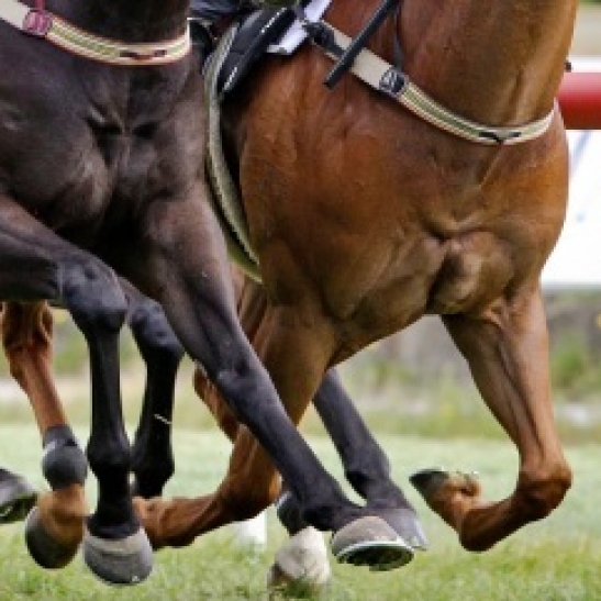 WA racing set for shake up following today's front page bombshell in the The West