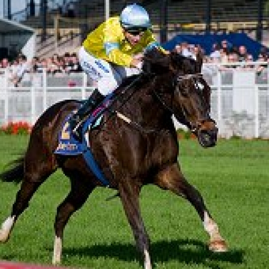 The Perth Cup lead-up has been won by some very talented horses over the years, however who takes the crown when the chips are down?